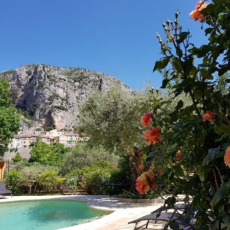 Bed and Breakfast Bastide Des Oliviers Moustiers-Sainte-Marie Exteriér fotografie